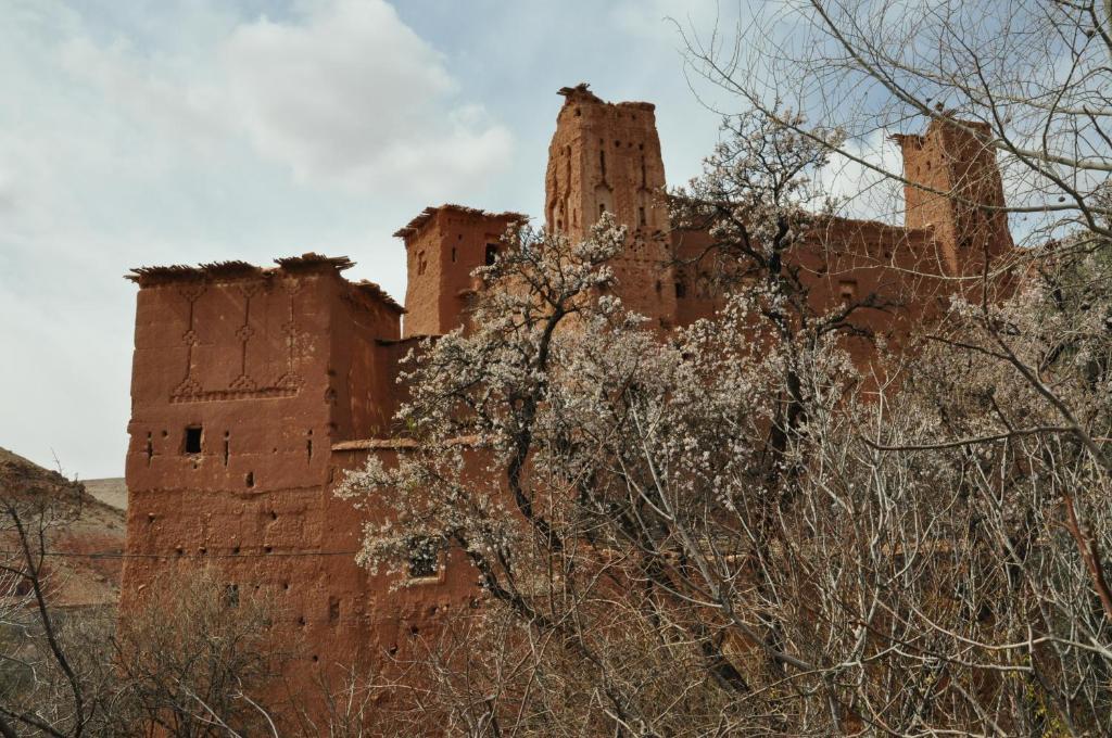 Telouet Kasbah Tigmi N'Oufella B&B 외부 사진